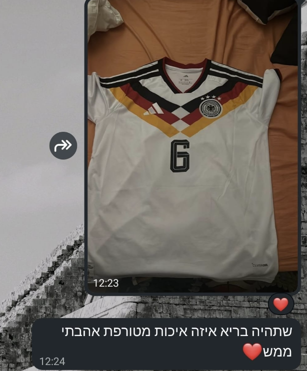 המלצה 2