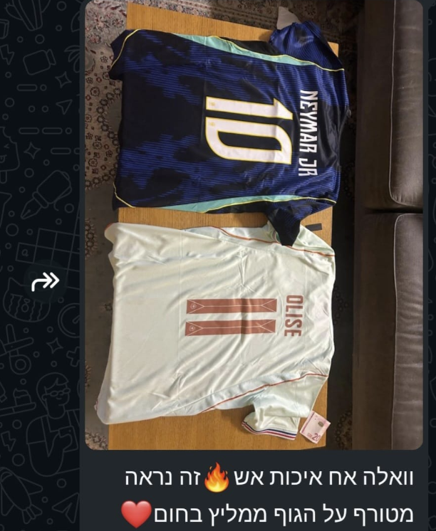 המלצה 1